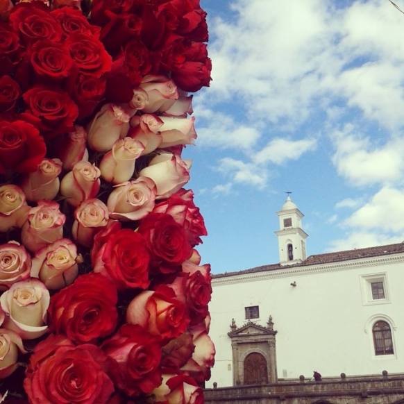 10676381_10204730708244706_2047802101205611157_n